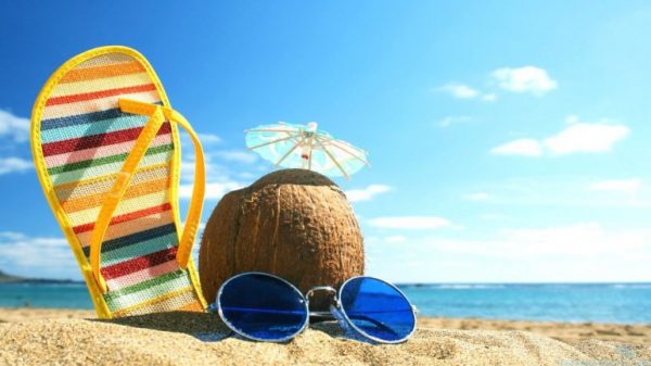 El cuidador de verano